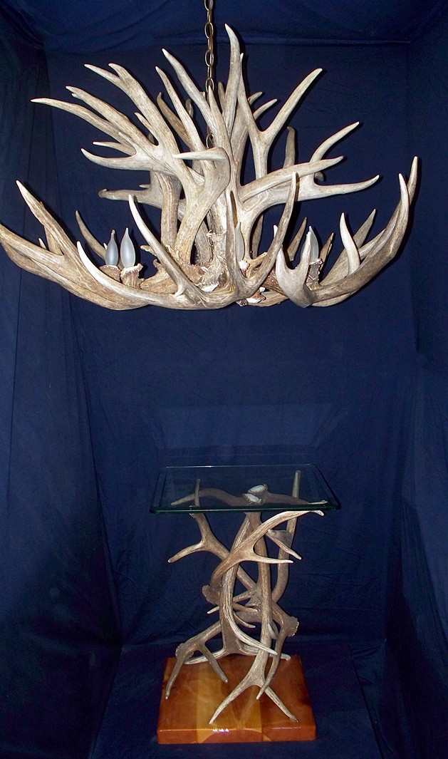 The King with an Elk Antler End Table
